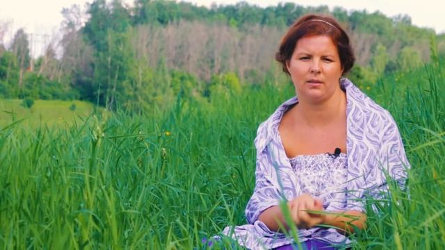 Где рожать? Родильный дом. Роды в роддоме. Дети, выживание вида,17 серия.