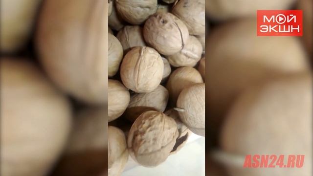 Червивые орехи смотреть онлайн