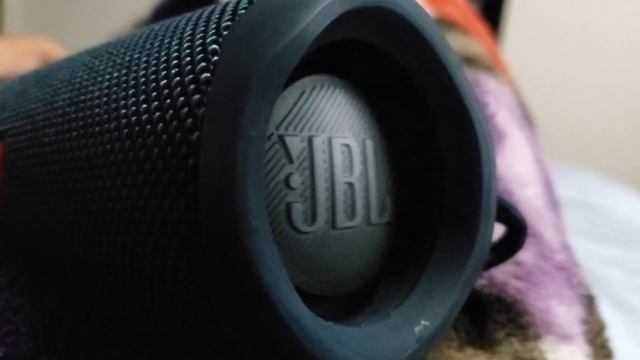 JBL Flip 5 Hard Warping!!! 100% Low Frequency Mode!!!! смотреть онлайн