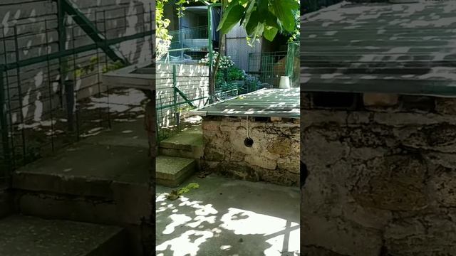 Домик в Ялте 14.08.23 смотреть онлайн