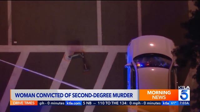 L.A. socialite found guilty of running down 2 boys in hit-and-run смотреть онлайн