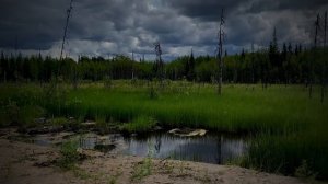 Демонология Русского Севера | Лешие | Рассказы о нечистой силе