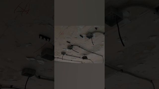Ремонт спальни за 3 минуты смотреть онлайн