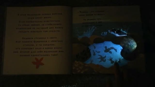 Что скрывает морской берег?