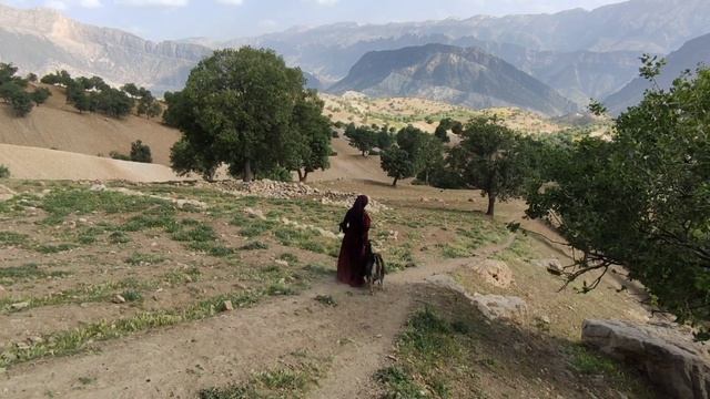 Finding lost sheep by nomads.Iran 2023 смотреть онлайн