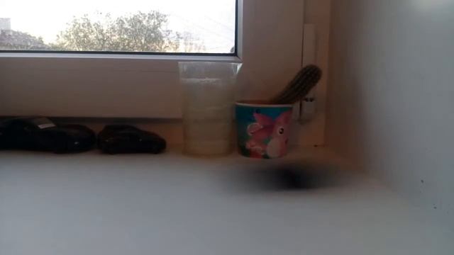 2017 Peugeot 409 Coupe Crash-Test C-Class Car смотреть онлайн