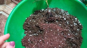 грунт для кофе