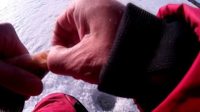 Зимняя рыбалка на Пяозеро 2016 смотреть онлайн