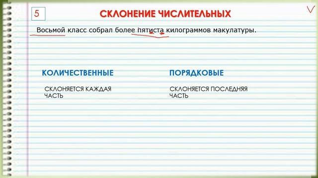 ВПР. 7-8 КЛАСС. РУССКИЙ ЯЗЫК. ЗАДАНИЕ 6. смотреть онлайн