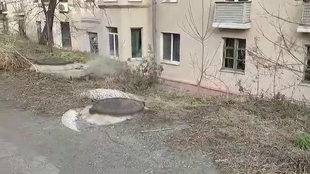 "Долина гейзеров" на Окатовой во Владивостоке смотреть онлайн