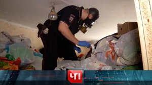 «ЧП»: 31 июля 2024 года | «Чрезвычайное происшествие» на НТВ