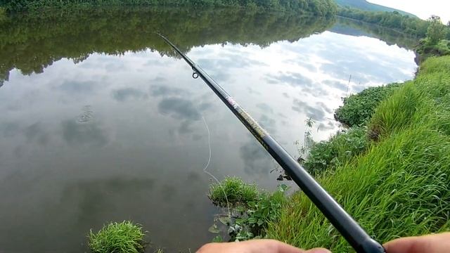 Тут остались одни лещи да плотва. Рыбалка на Свияге 09-10 июня 2022 смотреть онлайн