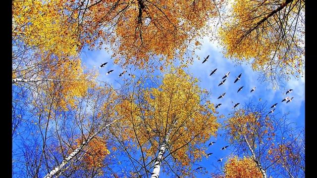 ?ЗОЛОТАЯ ОСЕНЬ!? смотреть онлайн