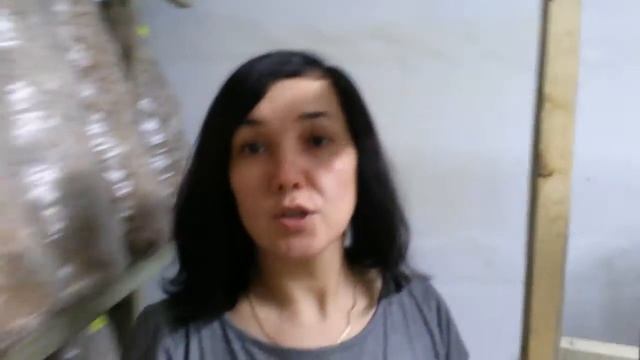 Мицелий на палочках. Вешенка из семян в домашних условиях (вып. 7) смотреть онлайн