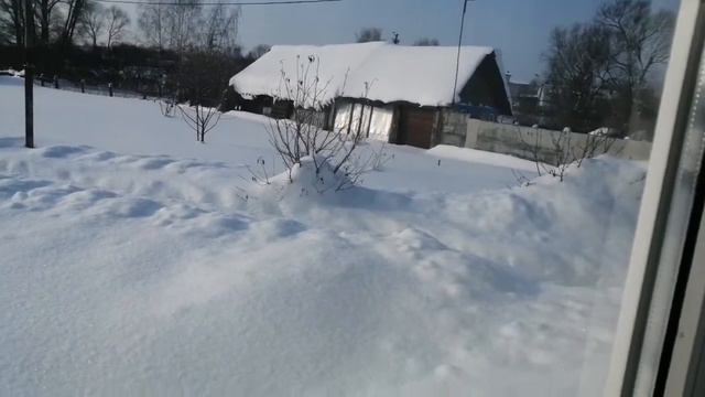 Небольшой обзор двора с домом. Мои саженцы гибнут! смотреть онлайн