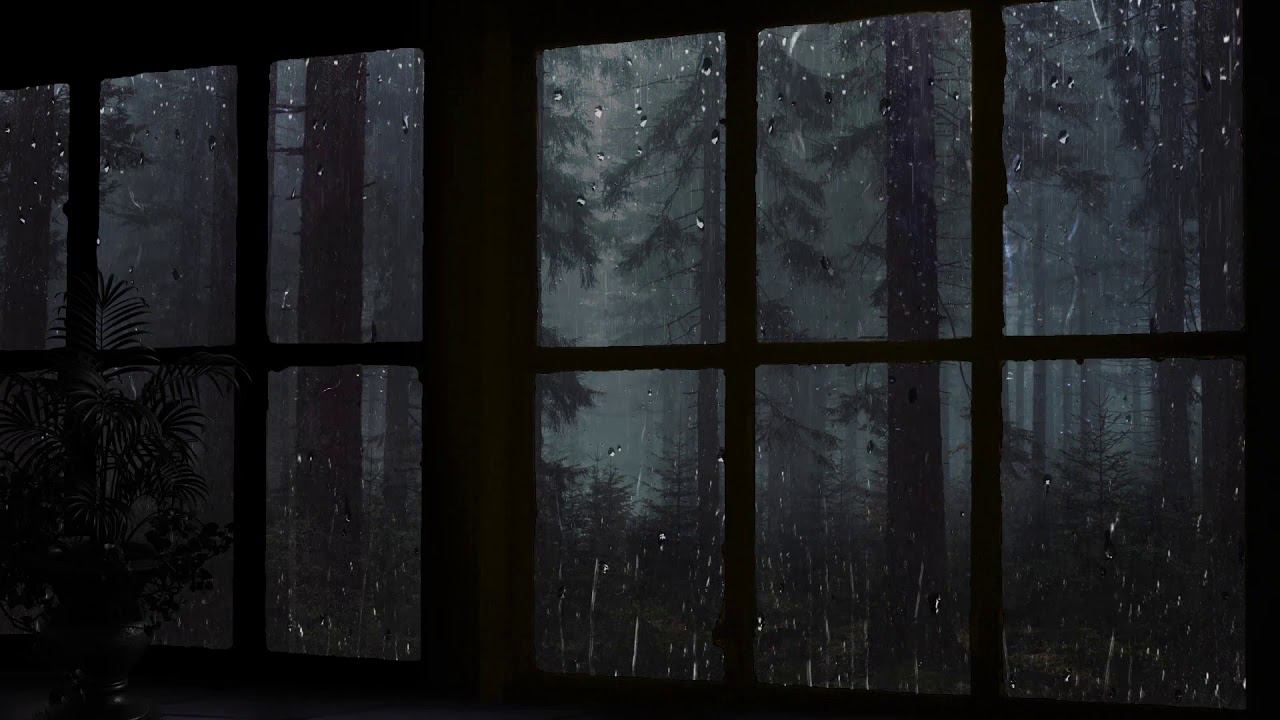 Rain On Window with Thunder Sounds - Rain in Forest at Night - 10 Hours смотреть онлайн