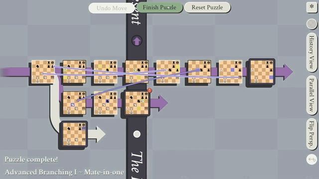5D Chess Puzzles Advanced Branching 1~2 смотреть онлайн