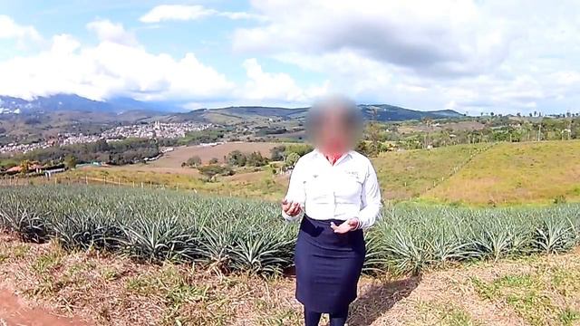 El ave mas rápida del planeta tierra, ver en velocidad de cámara lenta del reproductor. смотреть онлайн