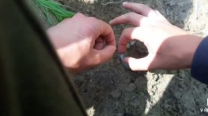 Птица запуталась в рыболовной леске. Спасение