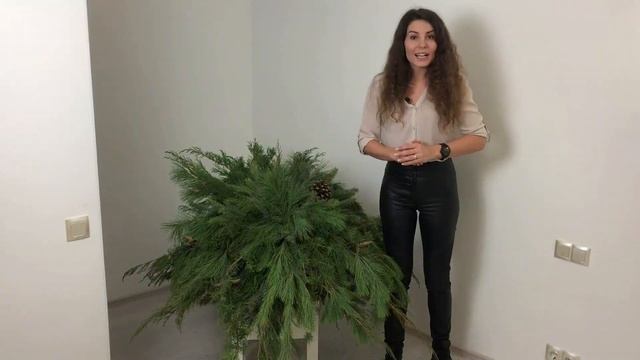 Как создать НОВОГОДНИЙ ДЕКОР в саду? смотреть онлайн