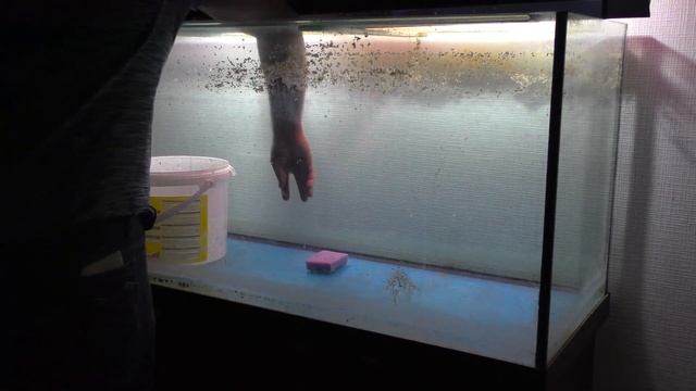 Как сделать акваскейп. PH минус для чистки аквариума. Ч1 смотреть онлайн