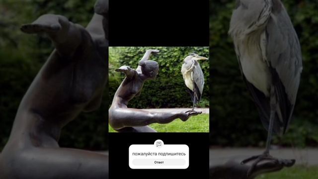 удачные фото ???? смотреть онлайн