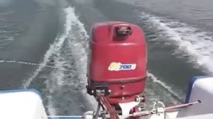 Мотор лодочный подвесной «Мотор Сич ПЛМ-40Э». Украина.