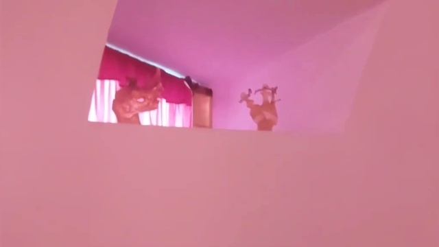 Музей Дали Порт-Лигат, треугольник Дали и гондолы - Каникулы в Жироне. смотреть онлайн