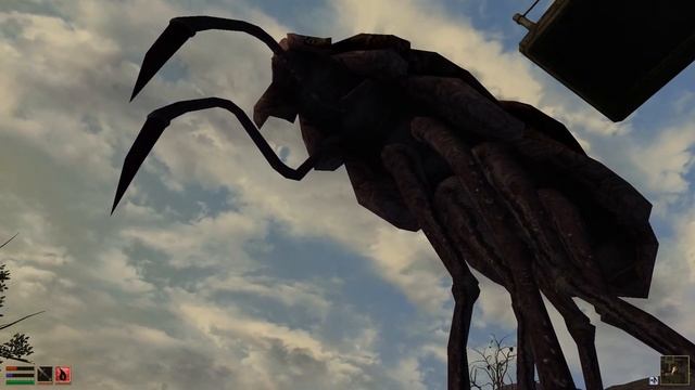 Relaxing Morrowind Ambient | Close-up Silt Strider Howling Sound In Balmora смотреть онлайн