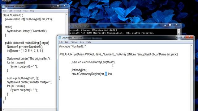 JNI - to process Java array using a copy смотреть онлайн