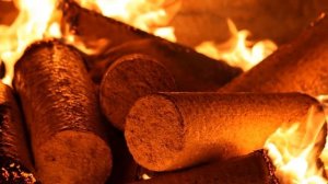 Топливный бизнес: производство брикетов из опилок | Топливные Брикеты как бизнес идея