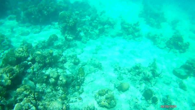 Куба. Карибское море 05.24 смотреть онлайн