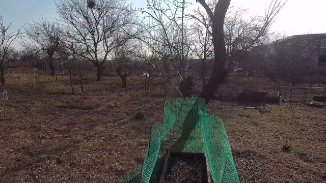 Что у нас на приусадебном участке? Какой у нас сад, огород? смотреть онлайн
