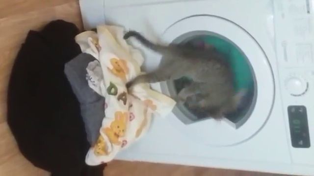 Супер игра!Поле чудес))) смотреть онлайн