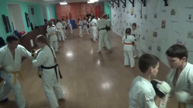 Тренировка 29 октября 2019 года. Группа №3 Киокусинкай Каратэ Климовск смотреть онлайн