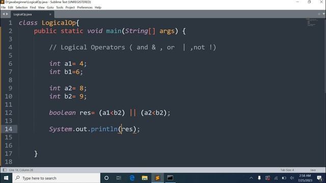 Logical Operators in Java | Examples of Logical Operators in Java | java | 9 смотреть онлайн