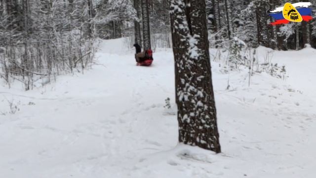 Тестируем в лесу надувные ТурбоСанки TimeTrial