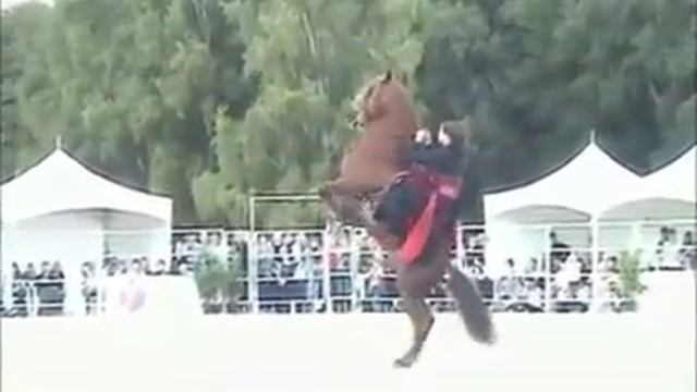 сами лучи танец с лошадью смотреть онлайн