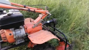 Косьба  мотоблоком роторной косилкой густой и полёгшей травостой.