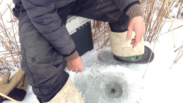 Терновка зимняя рыбалка Рекультивация