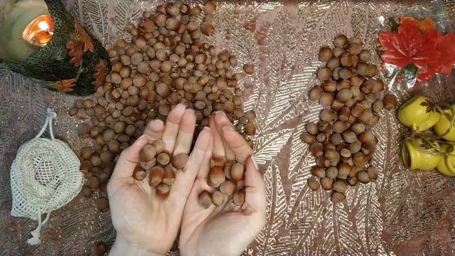АСМР Перебираю орешки - ASMR Sorting Nuts Wooden Sound
