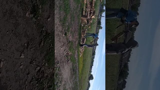 Колка дров смотреть онлайн