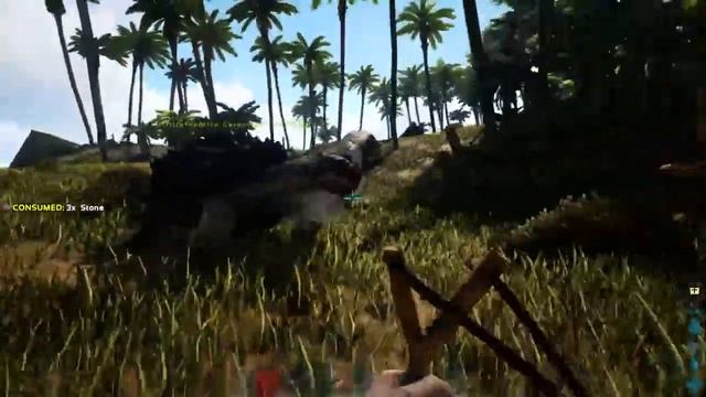 The Actual Operation;Arclight 001...