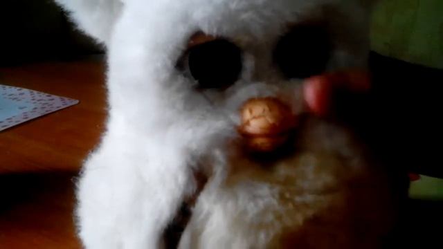 У фёрби 2005 года сели батарейки. 2005 Furby On Low Batteries.