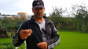 Забор из сетки-рабицы своими руками.