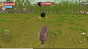 Играем в Wild Craft