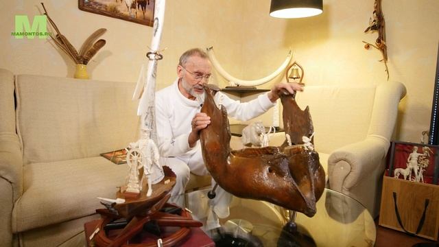 Настоящий бивень мамонта.