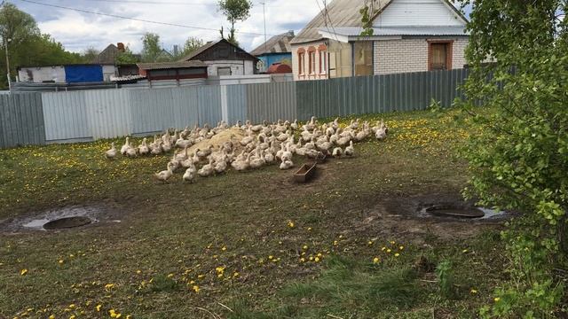 11-05-2023 смотреть онлайн