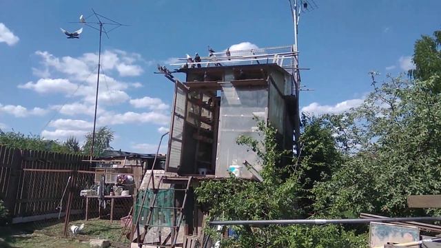 ай да Рома , ай да ( юморист )!!?? смотреть онлайн