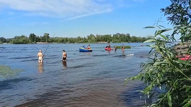 Отдых на Волге с палатками/Затон Волги/Жарим шашлык